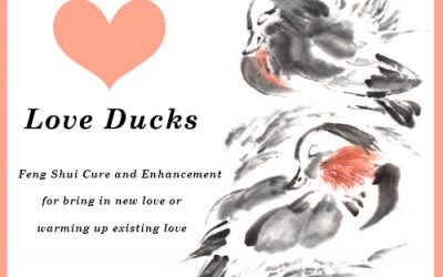 Feng Shui Mandarin Ducks – Attract Love