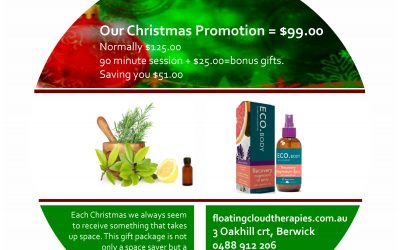 Christmas Gift Certificate Promotion